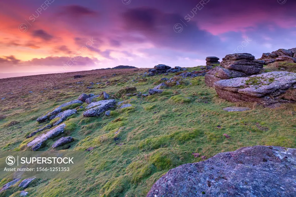 Rippon Tor in the Dartmoor National Park near Widecombe in the Moor, Devon, England, UK, Europe