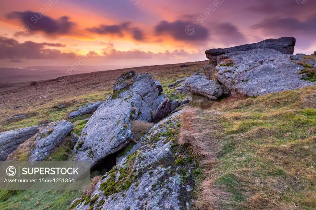Rippon Tor in the Dartmoor National Park near Widecombe in the Moor, Devon, England, UK, Europe