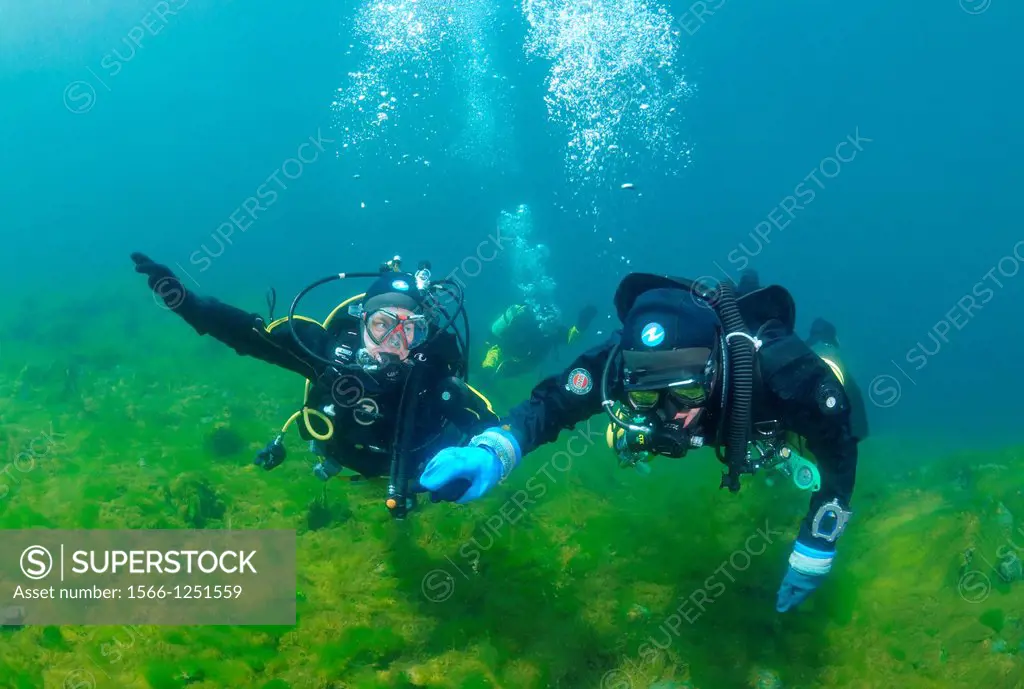 Diving the instructor trains beginning scuba diver to hold neutral buoyancy, Lake Baikal, Siberia, Russian Federation