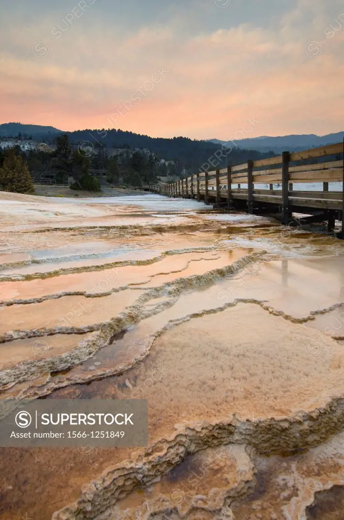 Boardwalk over thermophilic algae and fresh desposits of travertine emanating from Grassy Spring section of Mammoth Hot Springs, Yellowstone National ...
