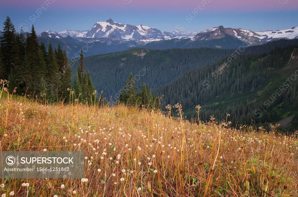 Alpenglow over Mount Shuksan from Skyline Divide, Mount Baker Wilderness, North Cascades Washington
