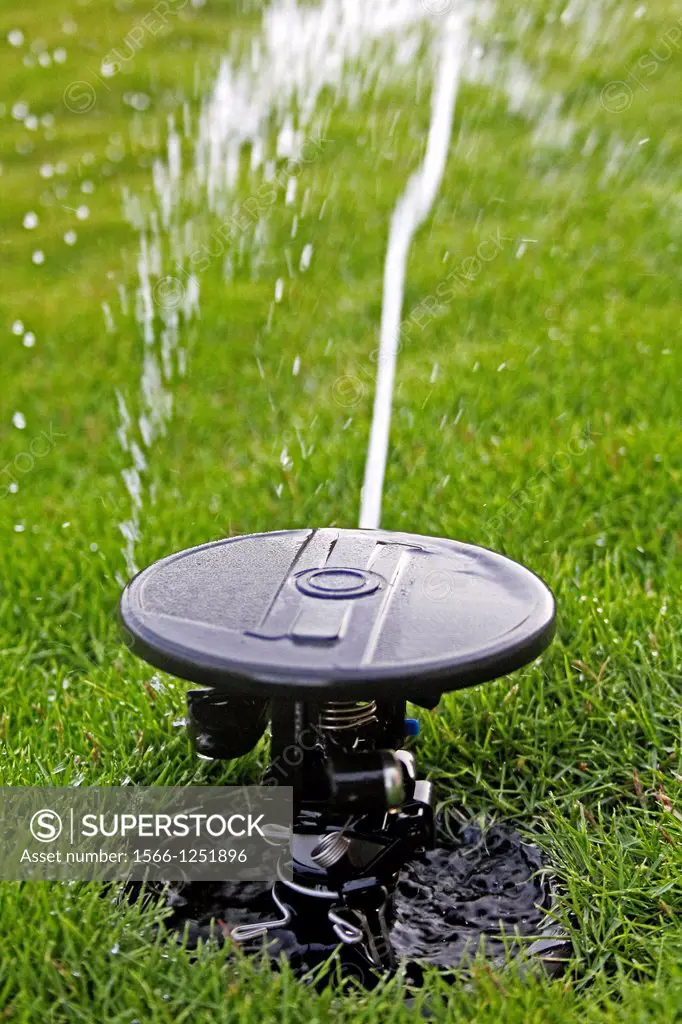 pop up lawn water sprinkler spraying water
