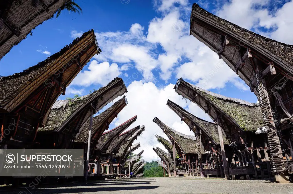 View of a traditional Tana Toraja village with typical houses, Sulawesi, Indonesia