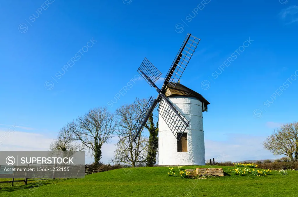 Ashton Windmill on a sunny spring day near Chapel Allerton, Somerset, England