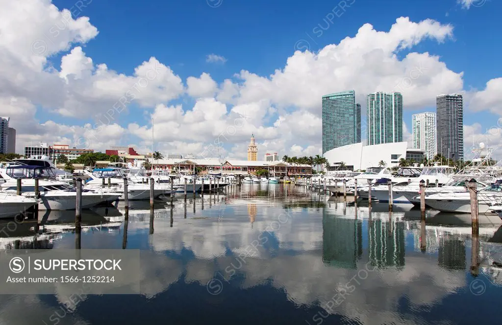 Bayside Marina, Miami, USA