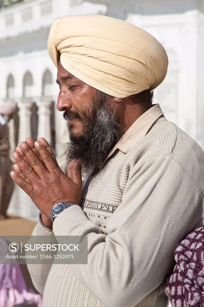 Sikh Man Praying, The Golden Temple of Amritsar, aka The Harmandir Sahib or Hari Mandir Punjab, India