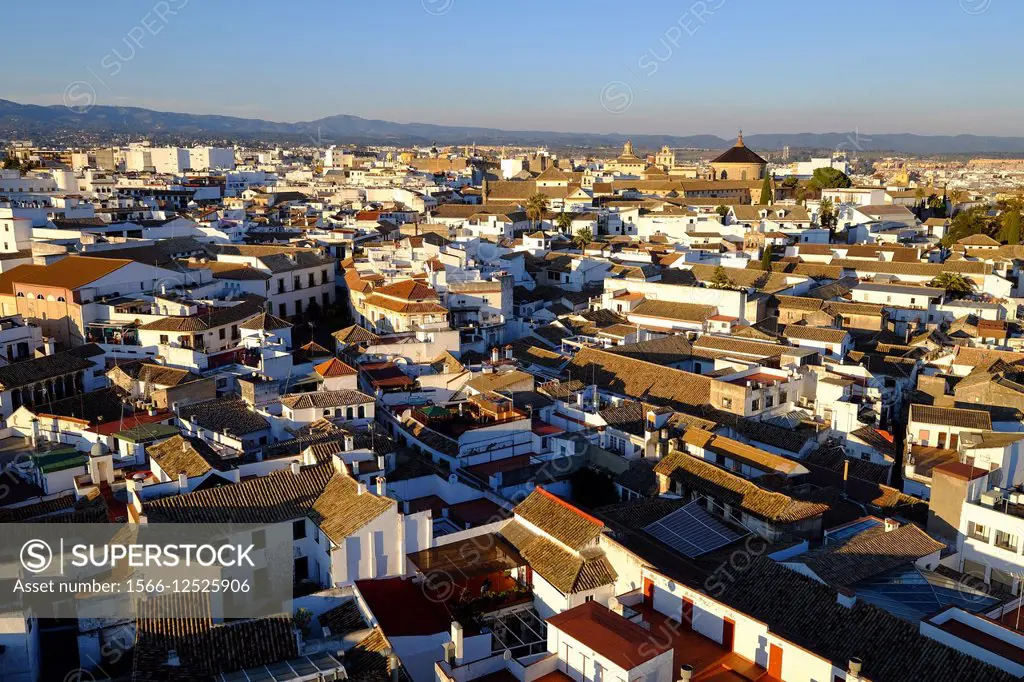 View of Cordoba from the Mezquita Cathedral bell tower, Cordoba, Andalucia, Spain, Europe.