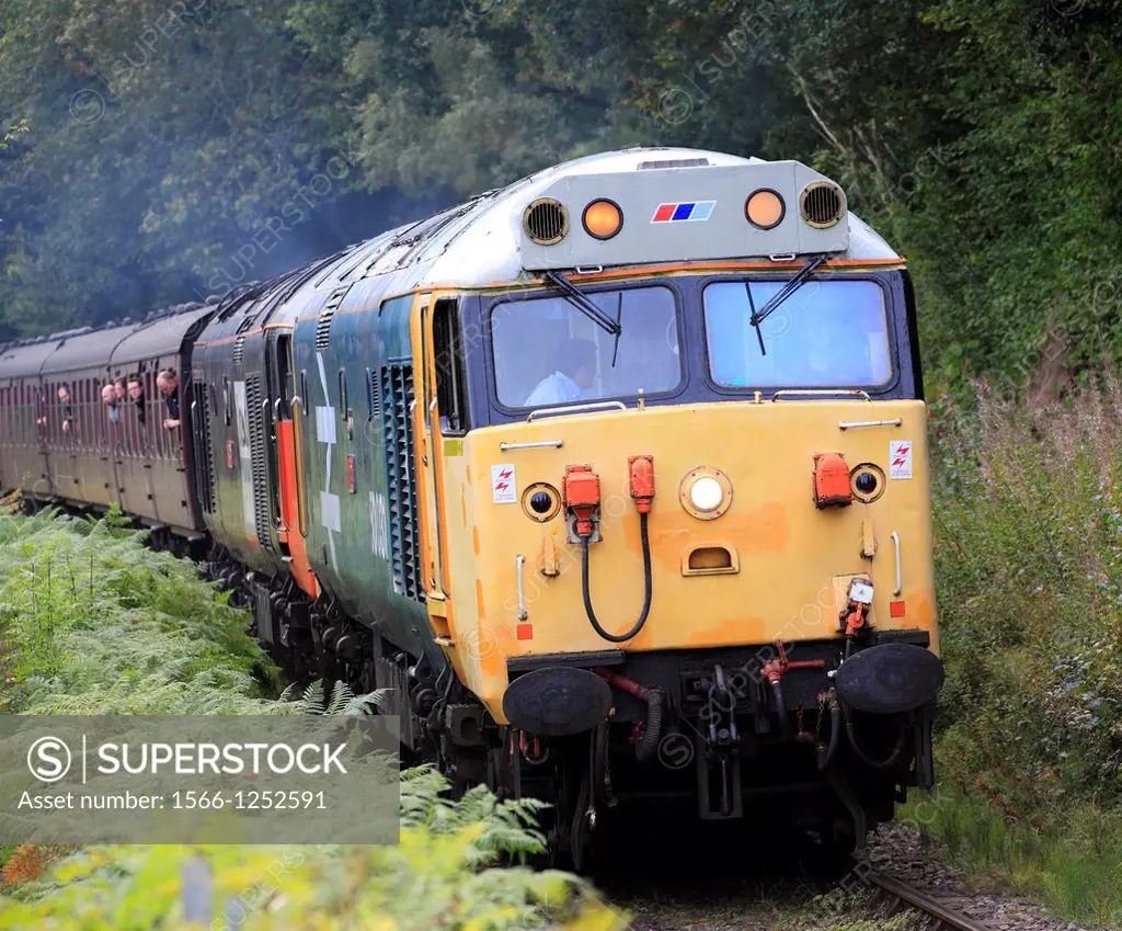 Double Heading Class 50 Diesels 50031 ´Hood´ and 50135 ´Ark Royal´ head into Hampton Loade, Severn Valley Railway, Shropshire, England, Europe
