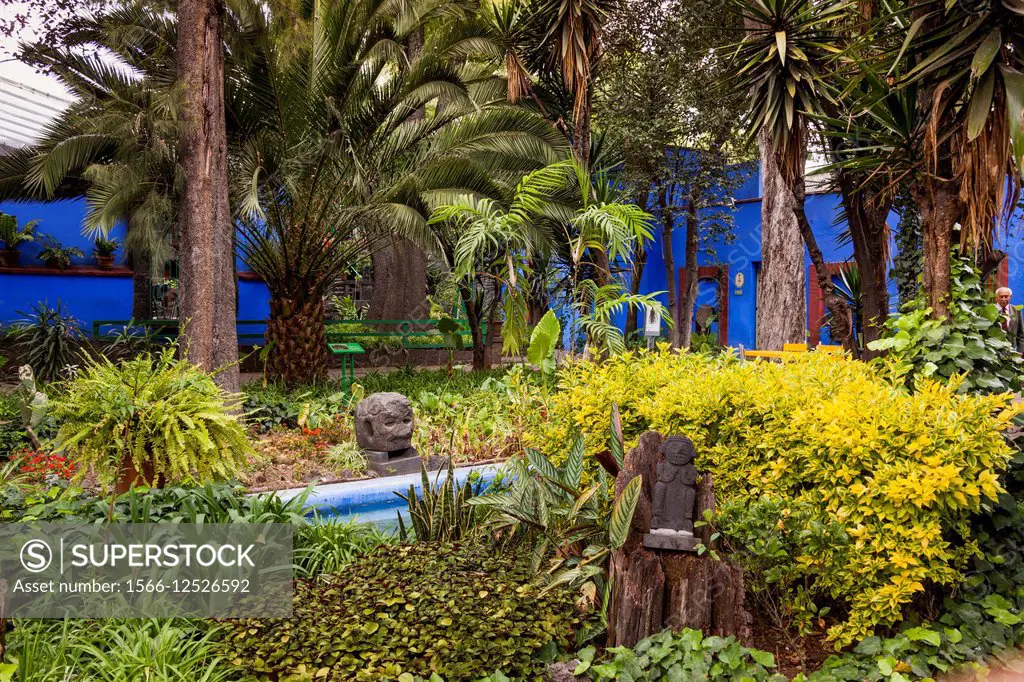 Frida Kahlo Museum (aka The Blue House, La Casa Azul) garden, Coyoacan, Mexico City, Mexico DF, Mexico