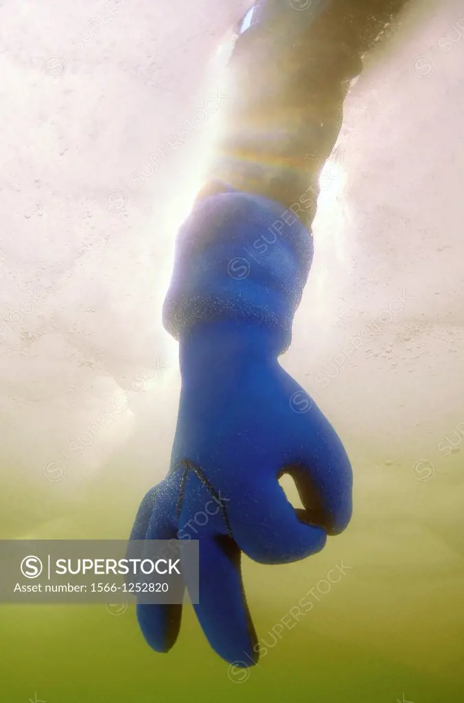 Diver´s hand giving the Ok sign, subglacial diving, ice diving, in the frozen Black Sea, a rare phenomenon, last time it occured in 1977, Odessa, Ukra...