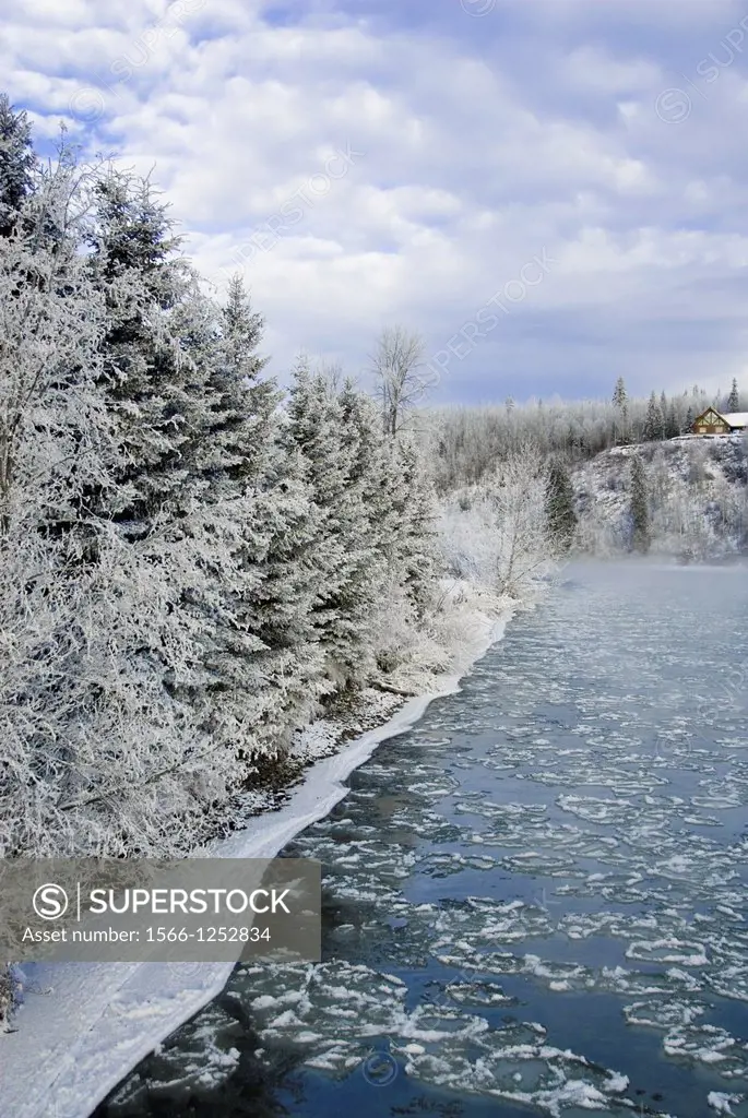 Winter ice flow in the Bulkley River Smithers,British Columbia