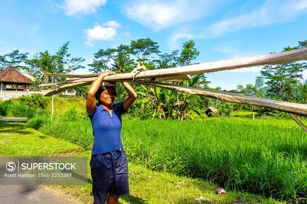 Asia, South-East Asia, Indonesia, Bali, Sidemen. Woman working in timber transport.