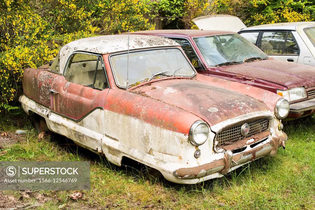 An abandoned Nash Metropolitan 1950´s car
