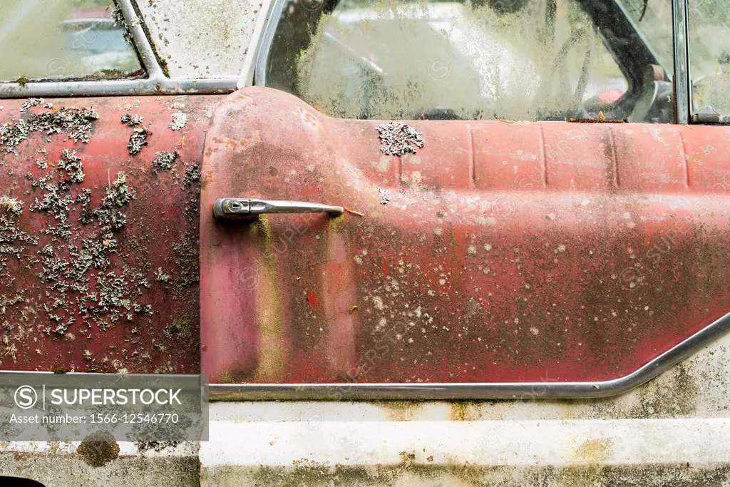 An abandoned Nash Metropolitan 1950´s car