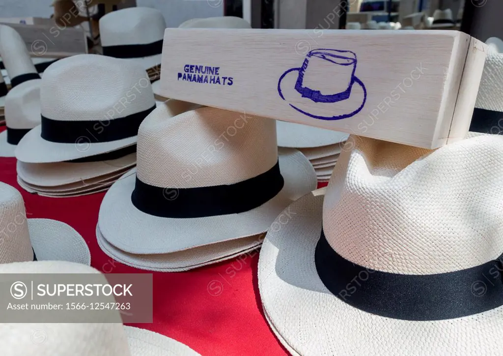 Panama, Province Of Panama, Panama City, Panama Hats For Sale In A Local Market In Casco Viejo.