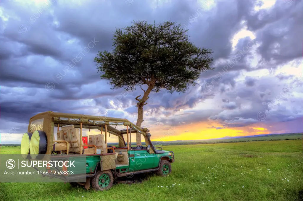 serengeti national park.