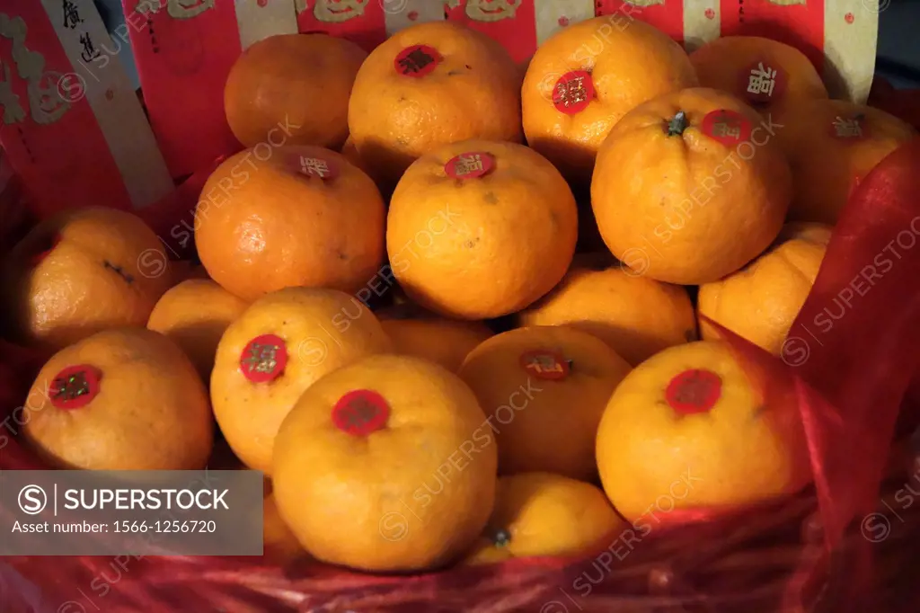 The chinese oranges for the new year, Kuching, Sarawak, Malaysia.