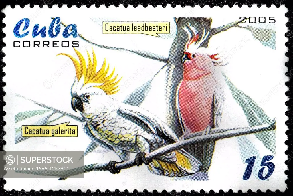 Cuban Stamp.