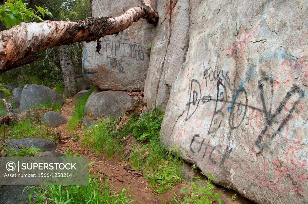 Clevenger Canyon Trail with grafitti, San Dieguito River Park, San Diego County, California