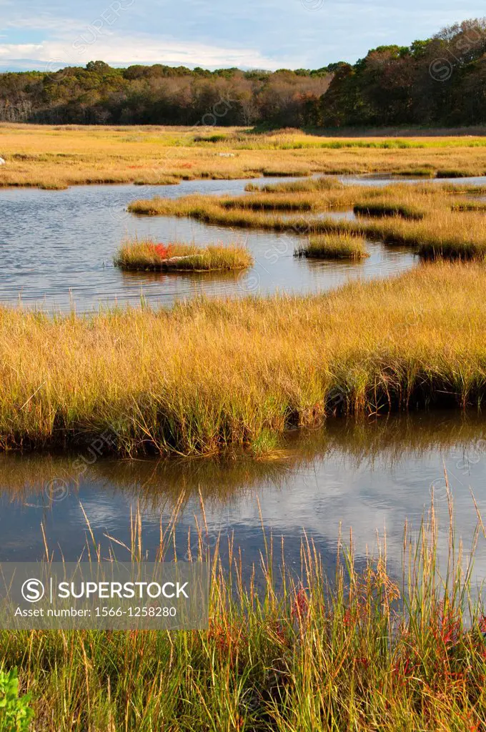 Salt water marsh, Barn Island Wildlife Management Area, Connecticut