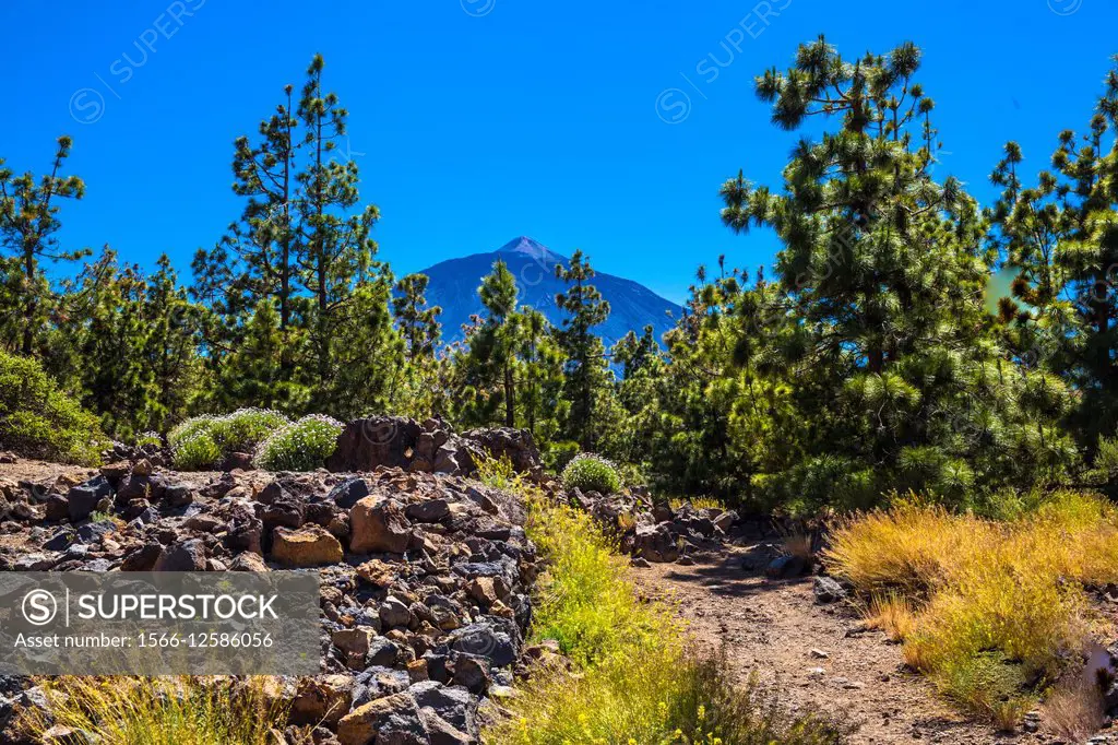 partial view of Teide mountain