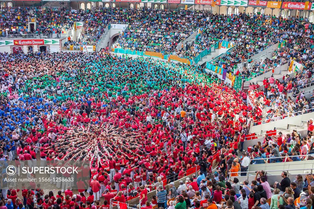 Colla Joves Xiquets de Valls starting a tower ´Castellers´ building human tower, a Catalan tradition Biannual contest  bullring Tarragona, Spain