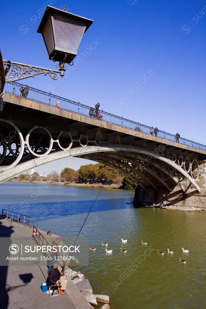 Isabel II bridge or Triana bridge  Guadalquivir river  Seville, Andalusia, Spain