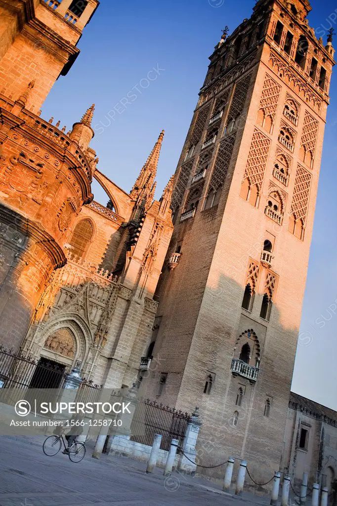 Cathedral,Giralda tower from Plaza Virgen de los Reyes,Sevilla,Andalucía,Spain