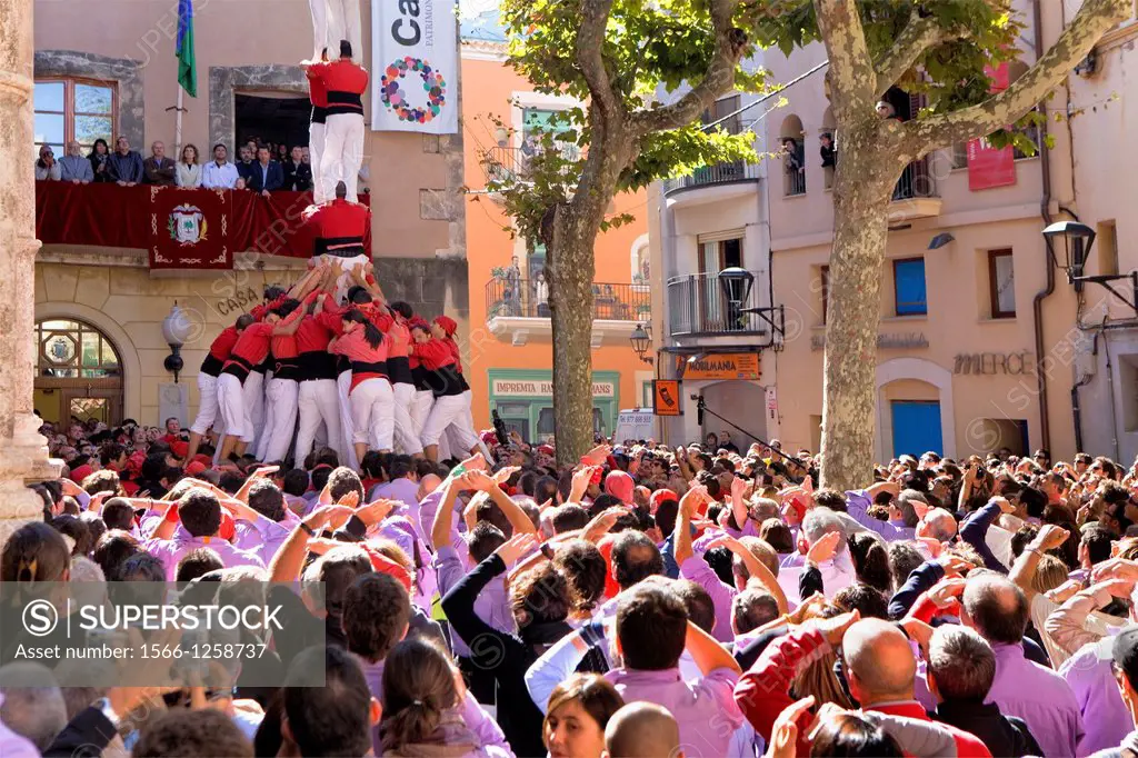 Nens del Vendrell ´Castellers´ building human tower, a Catalan tradition Fira de Santa Teresa, town festival  Plaça Vella El Vendrell Tarragona provin...
