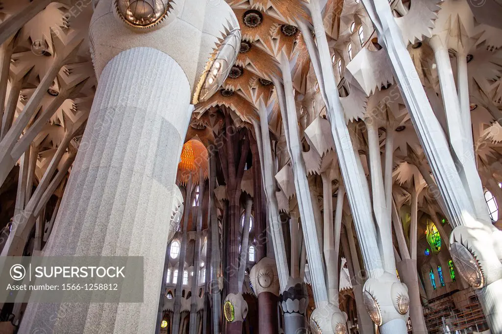 Detail of vault,Interior of Basilica Sagrada Familia,nave, Barcelona, Catalonia, Spain