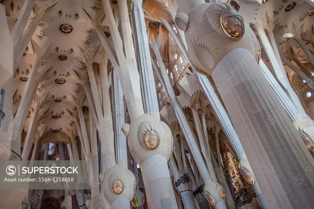Interior of Basilica Sagrada Familia,vault of nave, Barcelona, Catalonia, Spain