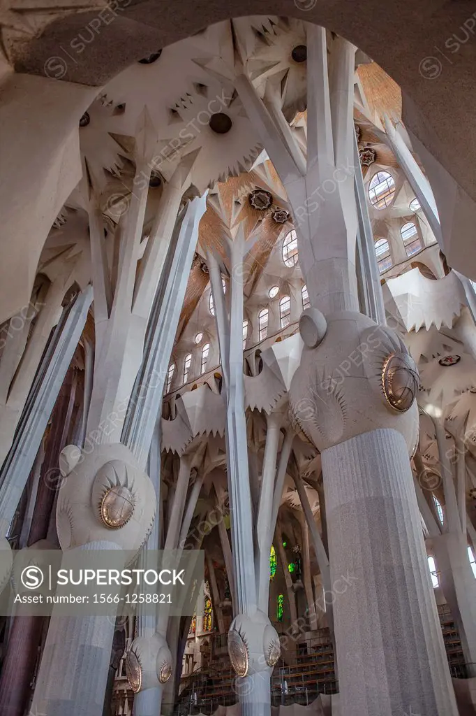 Interior of Basilica Sagrada Familia,columns and vault of nave, Barcelona, Catalonia, Spain