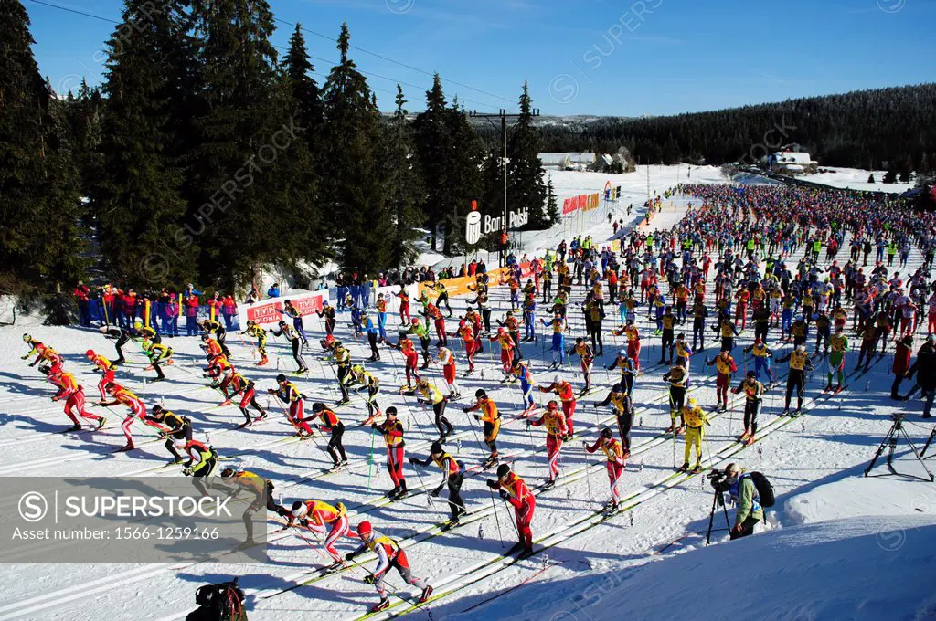 View of the great number of participants of the Bieg Piastow cross-country race, Jakuszyce, Poland