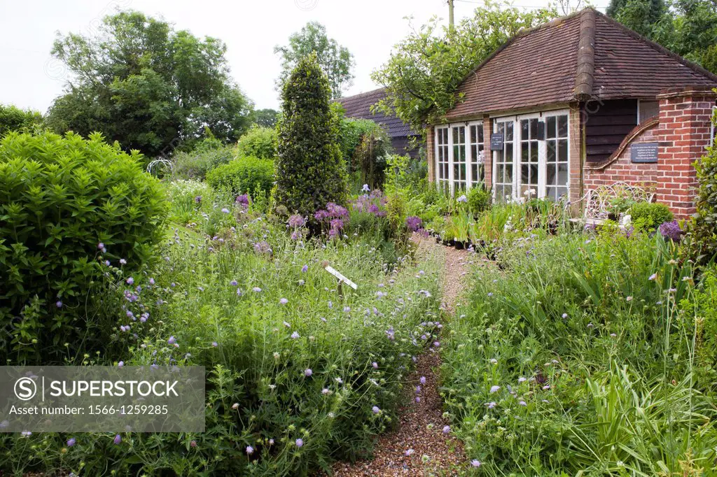 Traditional house and garden in Kent England. Gravel path through spring borders with perennial and shrubs leading to the house.