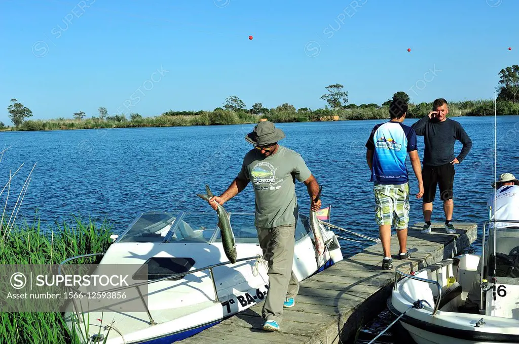 Fishermen in riverside of Ebro River. Ebro Delta Natural Park. Tarragona, Spain