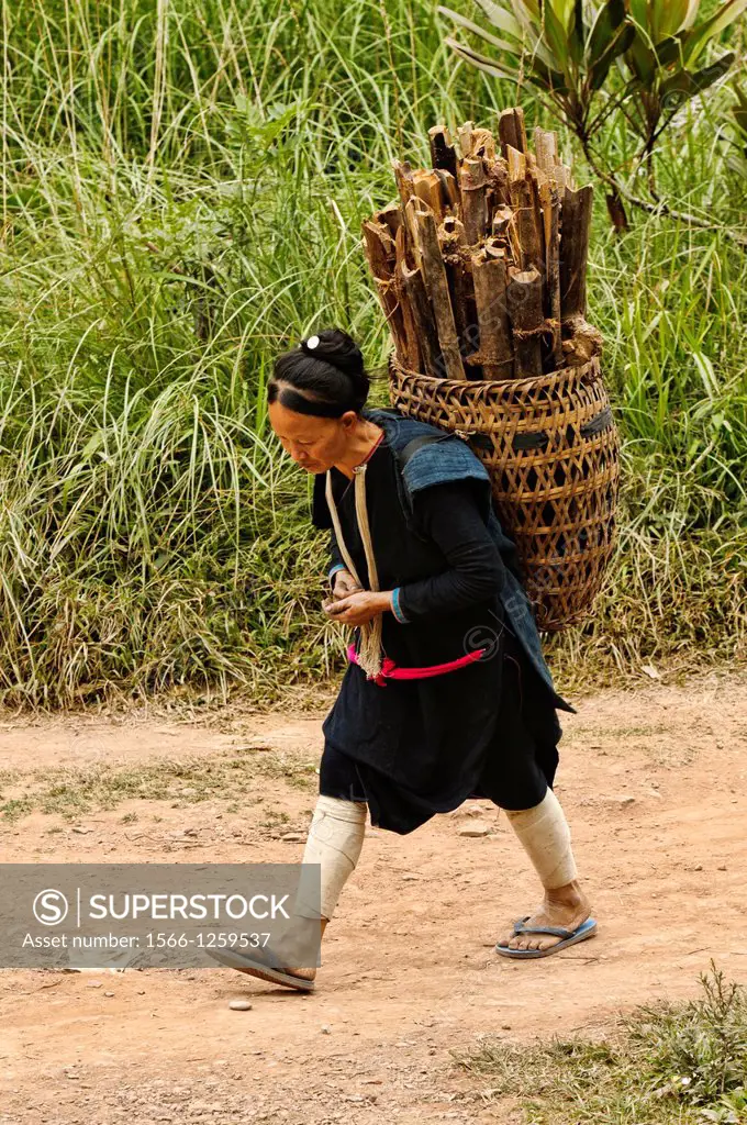 Ethnic Lanten woman carrying wood, Luang Nam Tha, Laos