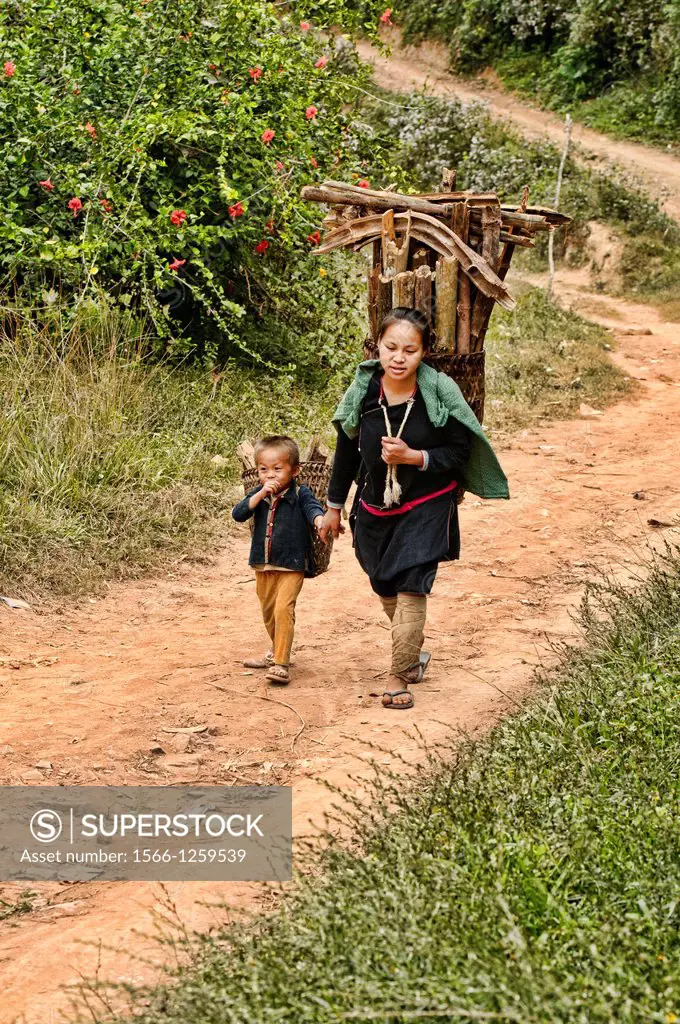Ethnic Lanten woman and her son carrying wood, Luang Nam Tha, Laos
