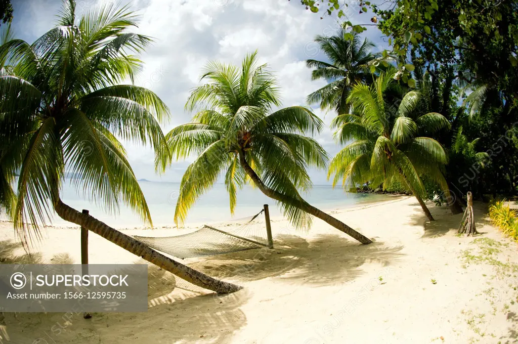 Tropical island beach with hammock at Matangi Island Resort, Fiji.