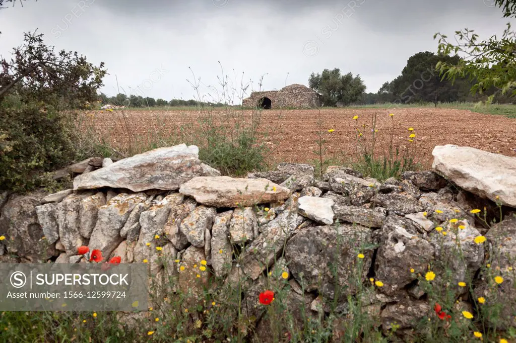 dry stone constructions in la capona route. Pla de Santa Maria. Tarragona