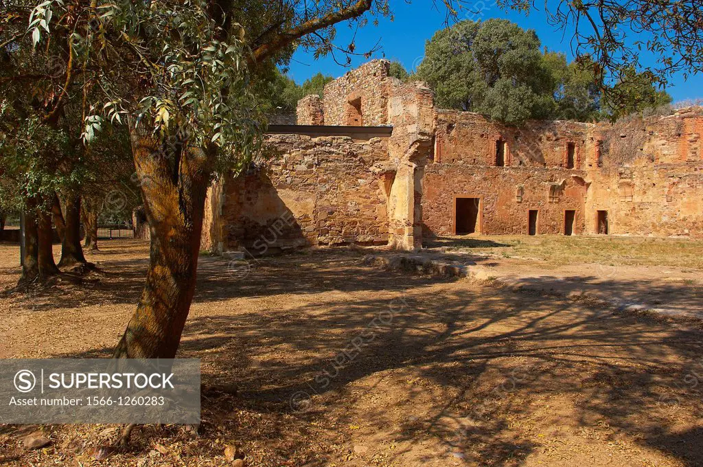 Ruins of Santa Maria de Moreruela Cistercian monastery 12th century, Silver Route, Granja de Moreruela, Via de la Plata, Zamora province, Castilla-Leo...