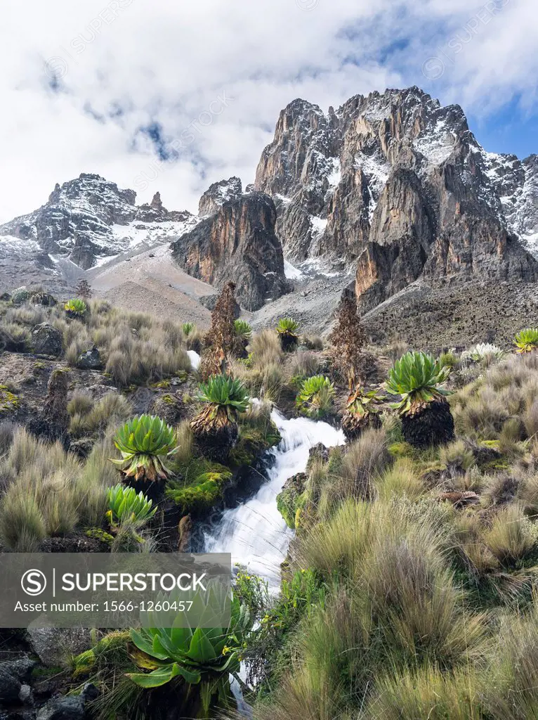Mount Kenya national park in the highlands of central Kenya, a UNESCO world heritage site. The central part of Mount Kenya with Batian and Nelion and ...