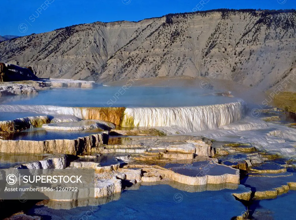 Mammoth Hot Springs  Opal Terrace  Yellowstone National Park  Wyoming  United States of America  USA.