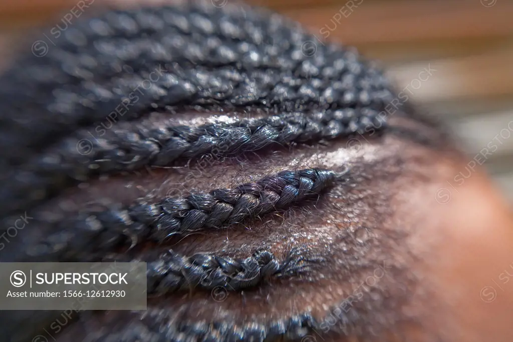 Hairdo of african american woman with braids made into cornrows. .