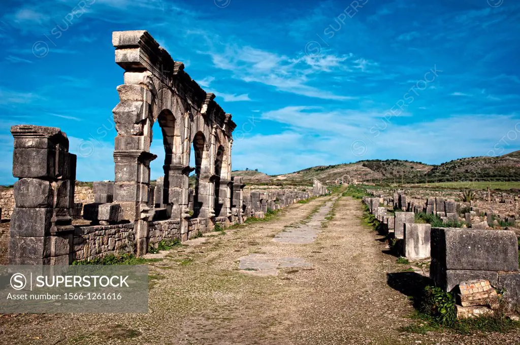 Archeological Site, Roman Ruins, Volubilis. Morocco