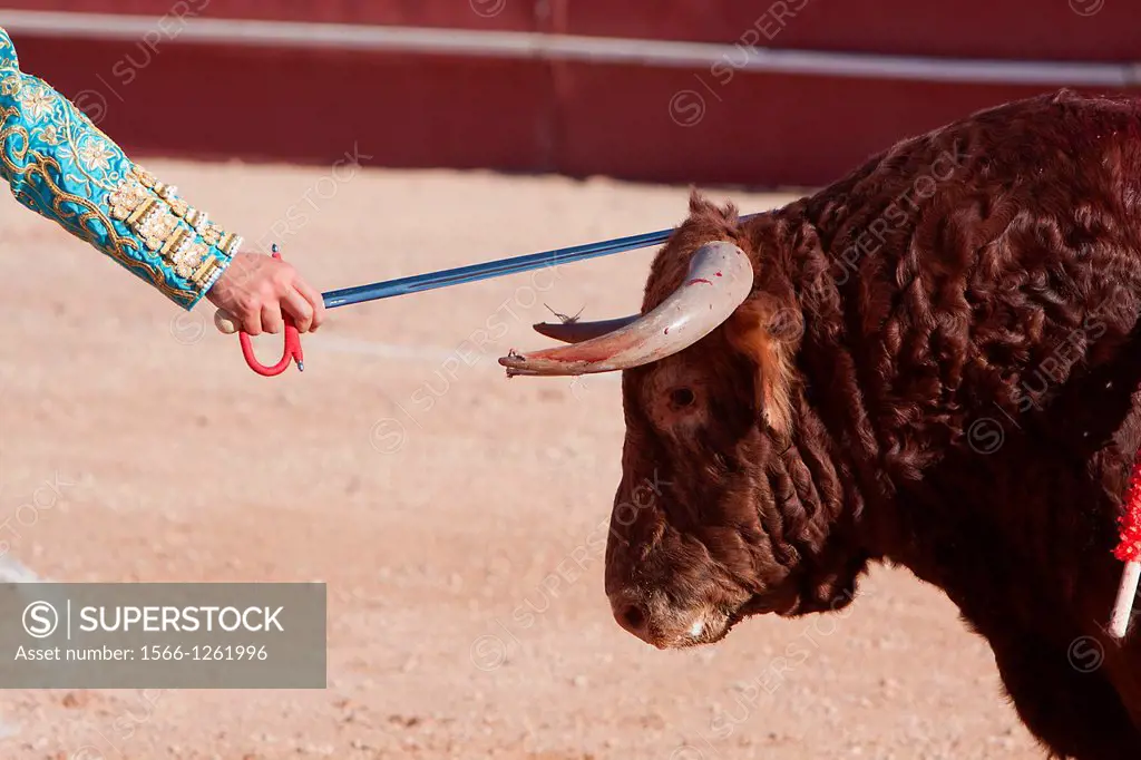 The Spanish bullfighter David Valiente Bullfight at tentadero bullring, Jaen
