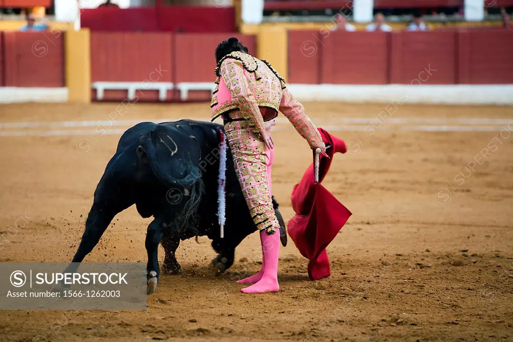 The Spanish bullfighter Morante de la Puebla barefoot after being caught by the bull Bullfight at Andujar bullring, Jaen, Spain, 11 September 2009