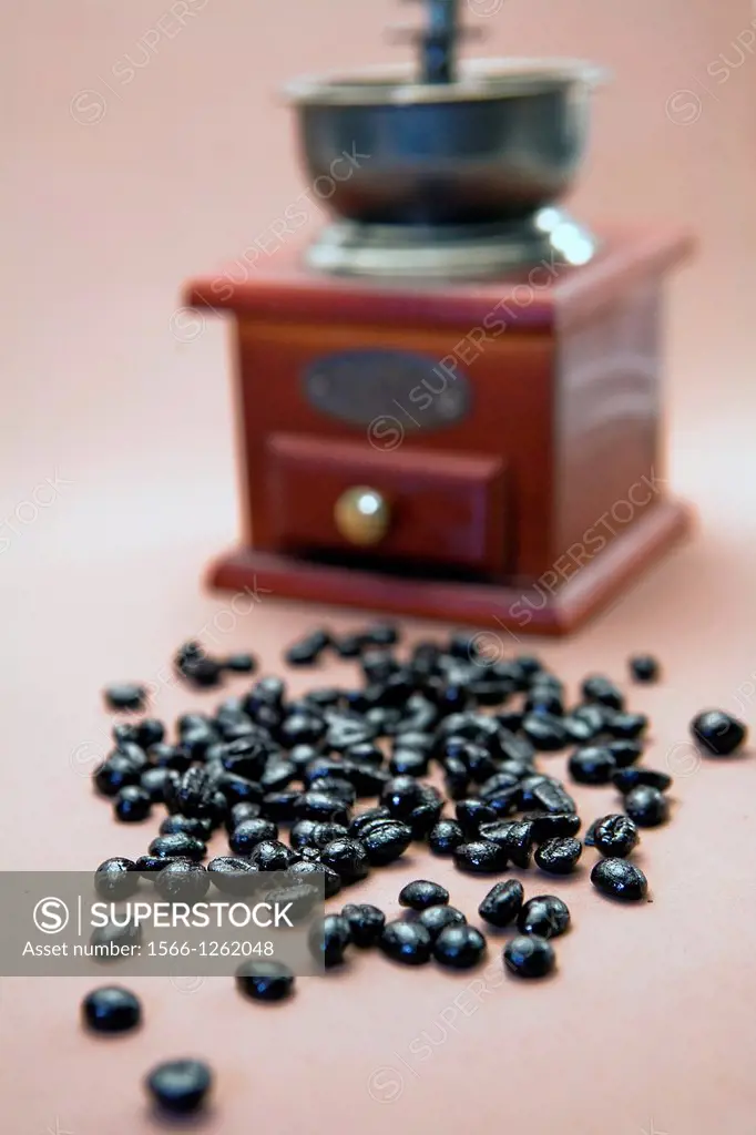 Roasted coffee beans are ground in a coffee grinder