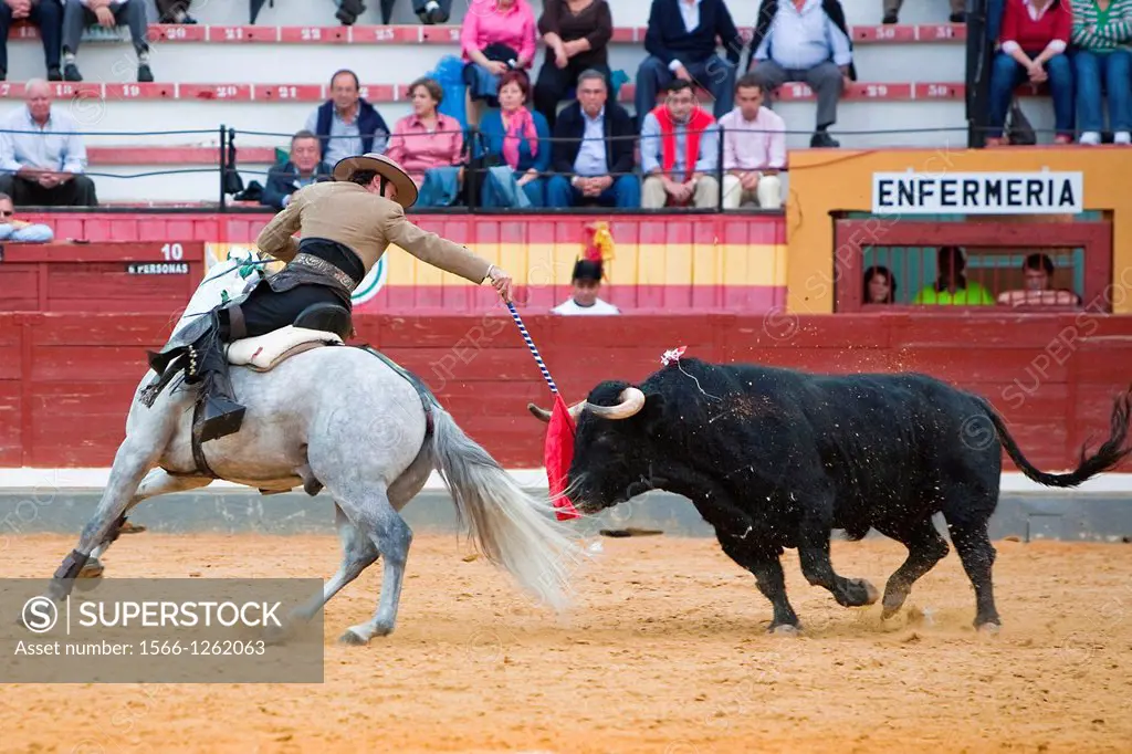 Andy Cartagena, bullfighter on horseback spanish, Jaen, Spain, 13 october 2008