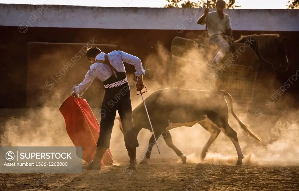 The Spanish bullfighter David Valiente Bullfight at tentadero, Jaen, Spain, 9 september 2009