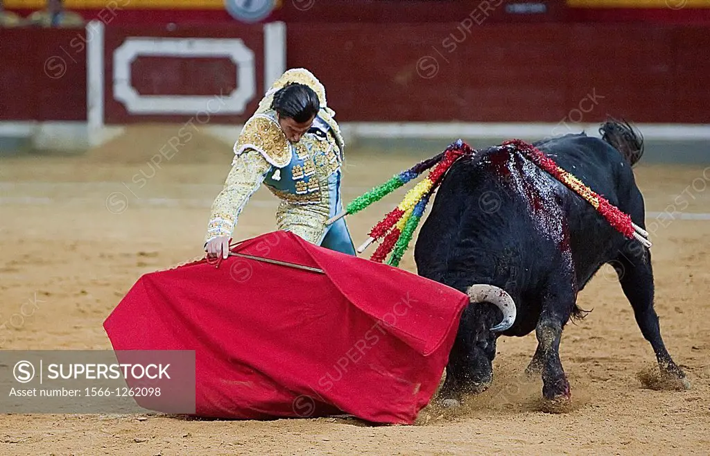 The Spanish Bullfighter David Mora bullfighting with the crutch in the Bullring of the arena of the alameda, Jaen, Spain, 16 october 2011
